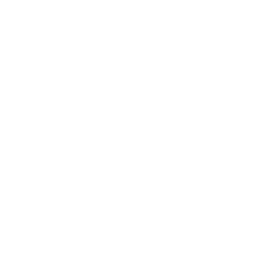 Free Shipping Worldwide Free Shipping Worldwide